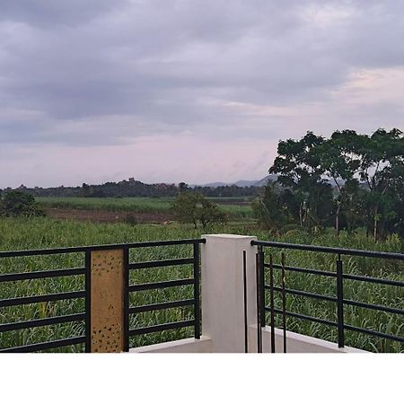 Coconut Homestay Hampi Zewnętrze zdjęcie