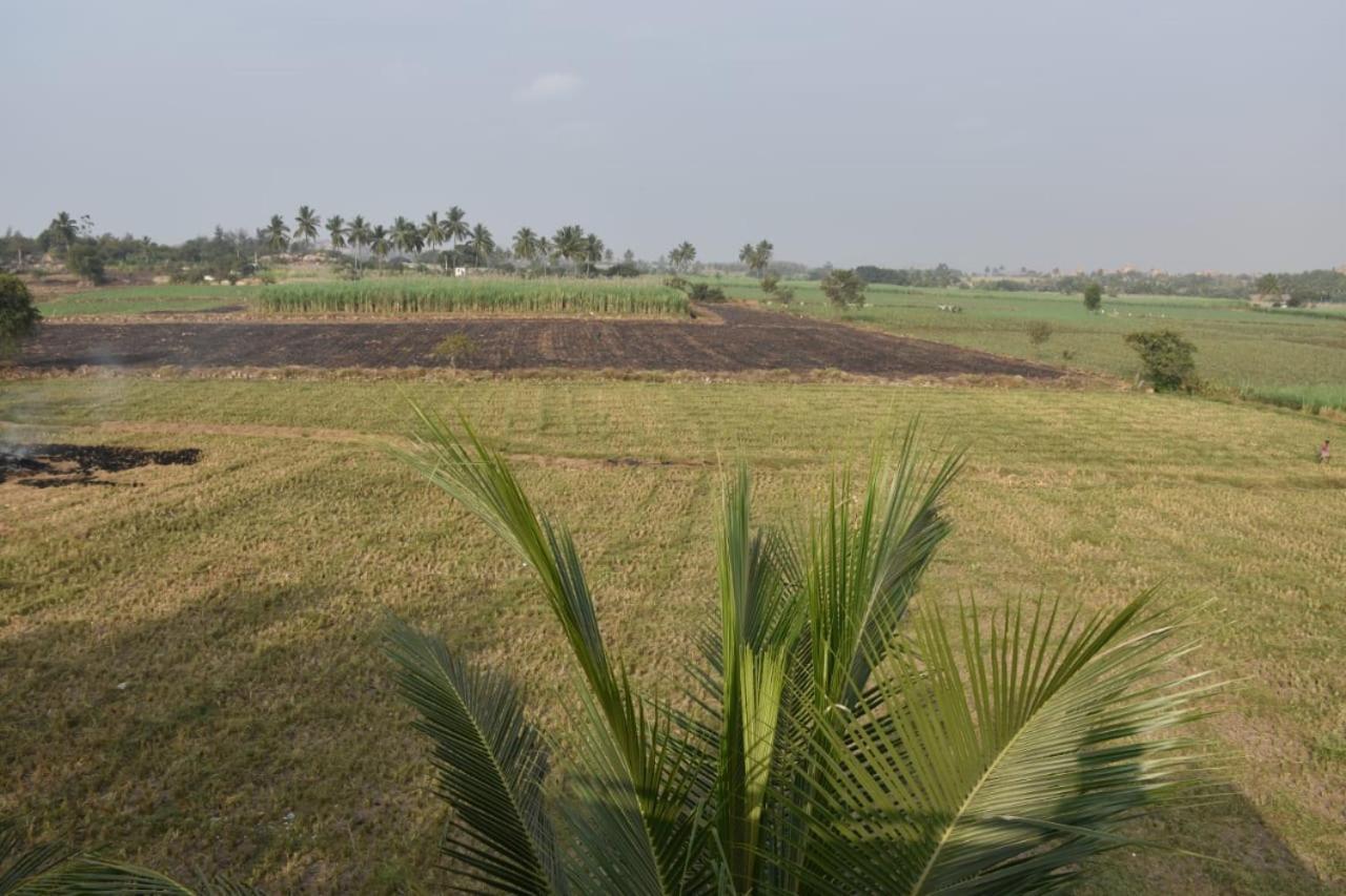 Coconut Homestay Hampi Zewnętrze zdjęcie