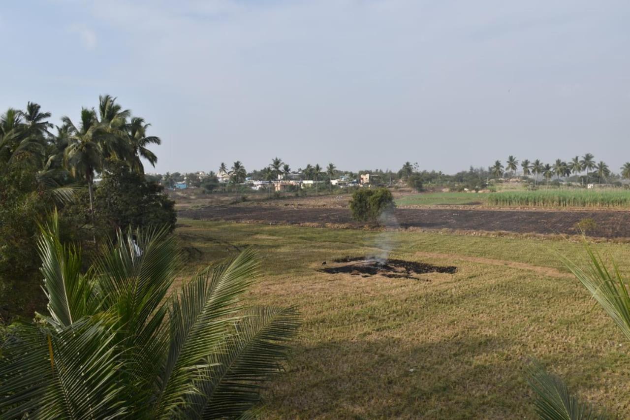 Coconut Homestay Hampi Zewnętrze zdjęcie