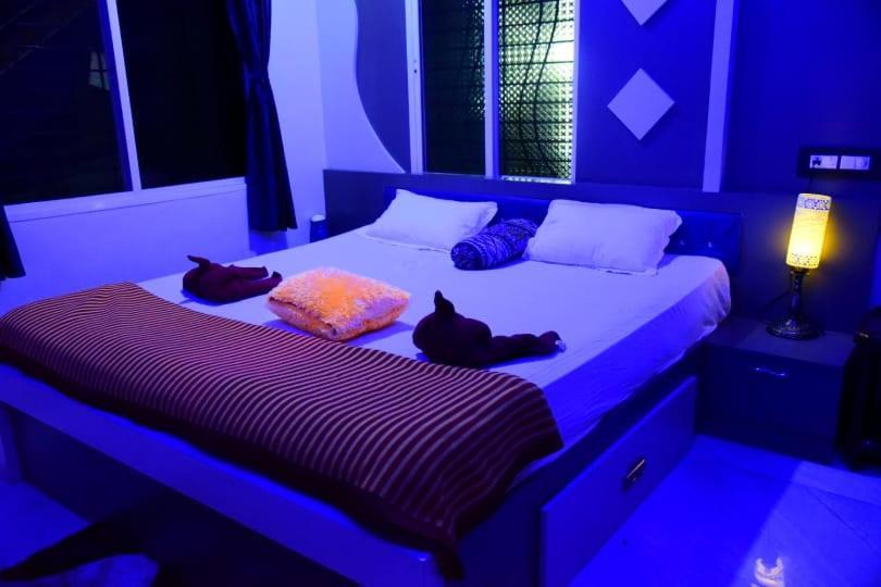 Coconut Homestay Hampi Zewnętrze zdjęcie
