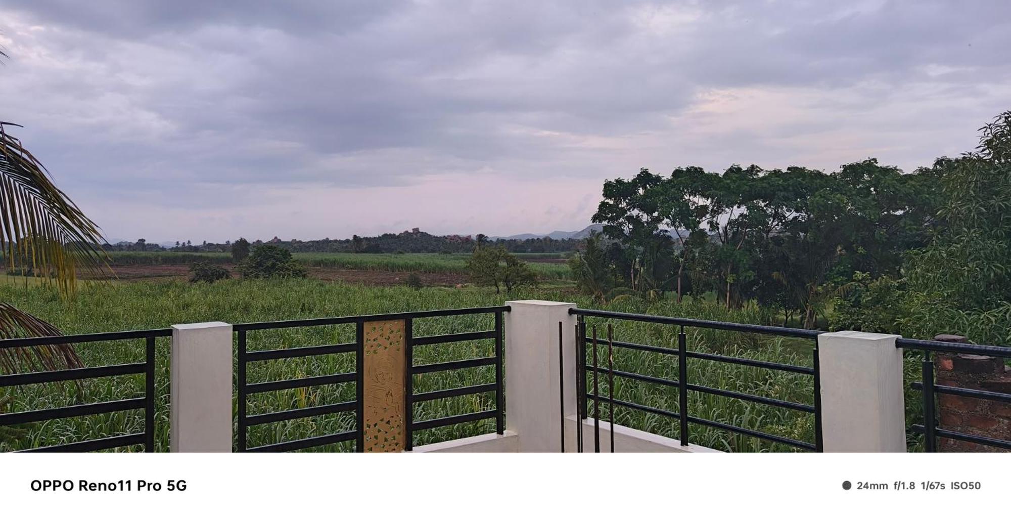 Coconut Homestay Hampi Zewnętrze zdjęcie
